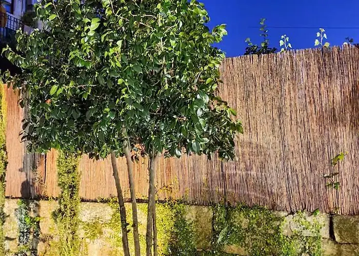Unique With A Gorgeous Garden Daire Porto
